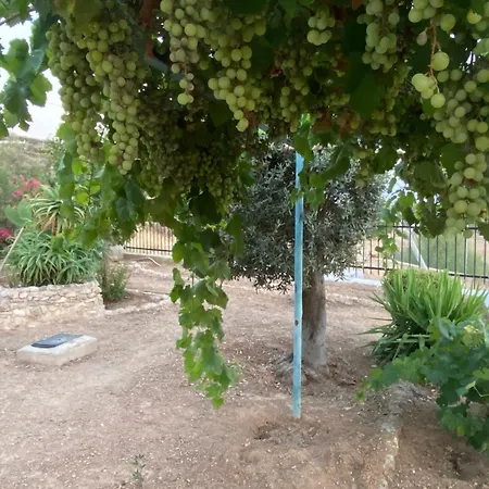 Completely Self-contained, Aegina *