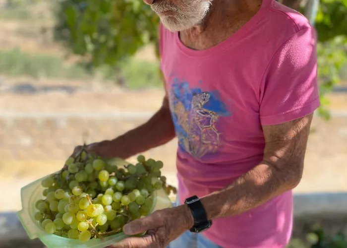 Completely Self-contained, Aegina Homestay *