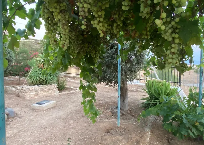 Completely Self-contained, Aegina *